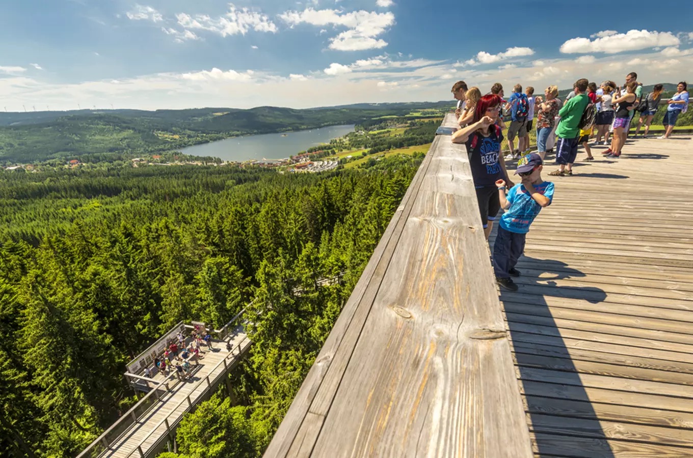 Lipno Stezka korunami stromu vyhled z vrchu
